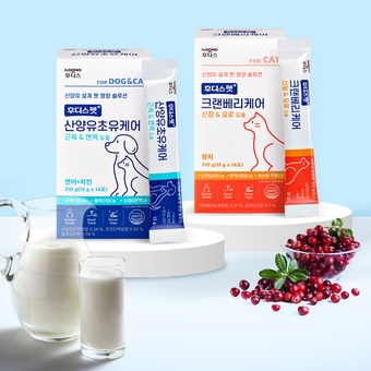 ▲ ⓒ일동후디스