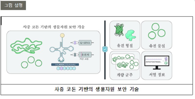 ▲ 연구 관련 그림.ⓒ포스텍