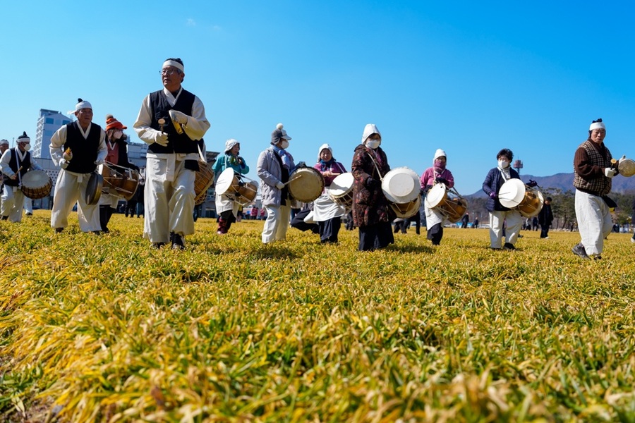 ▲ 증평읍 송산리 764번지 청보리밭에서 주민들이‘청보리밟기’ 행사를 하고 있다.ⓒ증평군