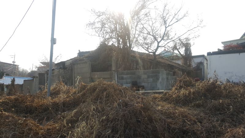 ▲ 도시지역에 방치된 빈집 모습.ⓒ아산시