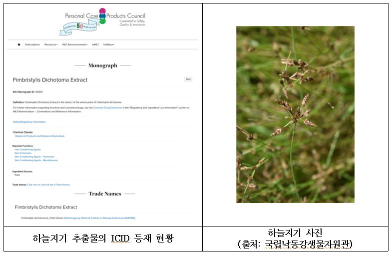 하늘지기 이미지