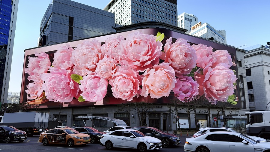 ▲ 신세계스퀘어 음악가의 수트케이스_개화ⓒ신세계스퀘어