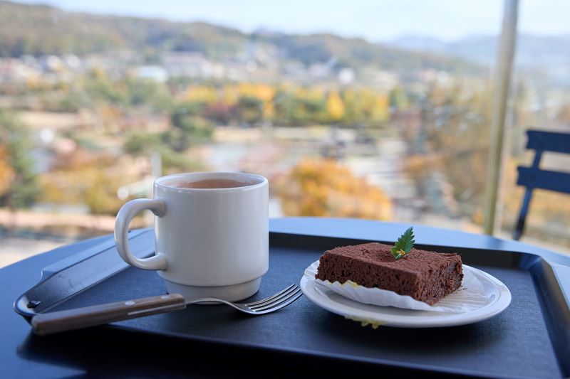 ▲ 49개 카페 어우러진 도심 속 낭만 휴양지로 성장한 아산 신정호.ⓒ아산시