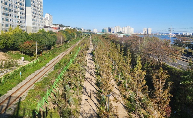 ▲ 포항 관문숲 조성 후 전경.ⓒ포항시