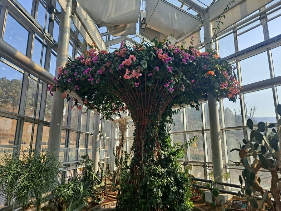 ▲ ⓒ김천시설관리공단