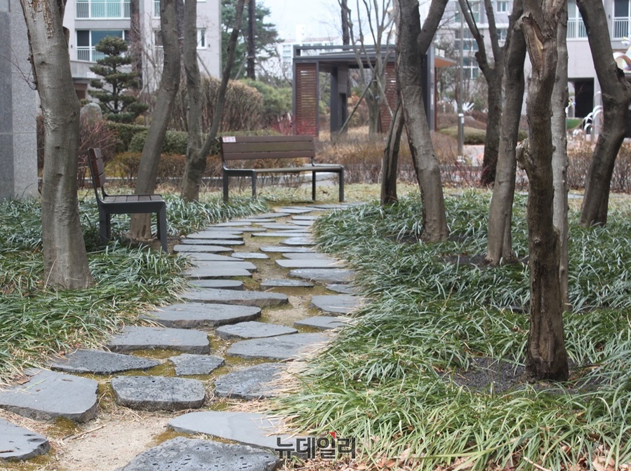 ▲ 24절기 중 첫 번째 절기인 ‘입춘’인 3일 ‘꽃샘추위’가 매섭다. 겨울이 떠난 줄 알았건만, 전국에 다시 눈이 내리고 강풍이 휘몰아친다. 사진은 충북 청주 중흥에스클레스 아파트 단지에 조성된 맥문동.ⓒ뉴데일리