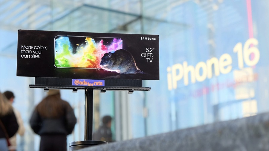 ▲ 애플 매장 앞 쥐를 위한 삼성 OLED TV 광고. ©AdsforRats