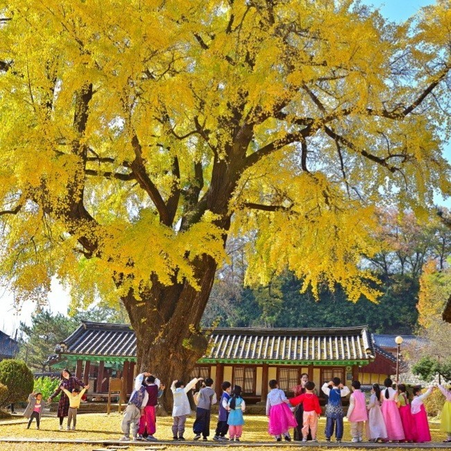 ▲ ⓒ전북특별자치도청제공 (전주 한옥마을에서 아이들이 가을의 정취를 만끽하고 있다.)