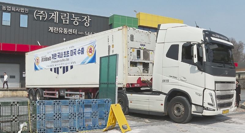 ▲ 처음으로 미국 시장을 개척한 ㈜계림농장의 계란이 미국 조지아주로 보내지기위해 트럭에 실리고 있다.ⓒ아산시