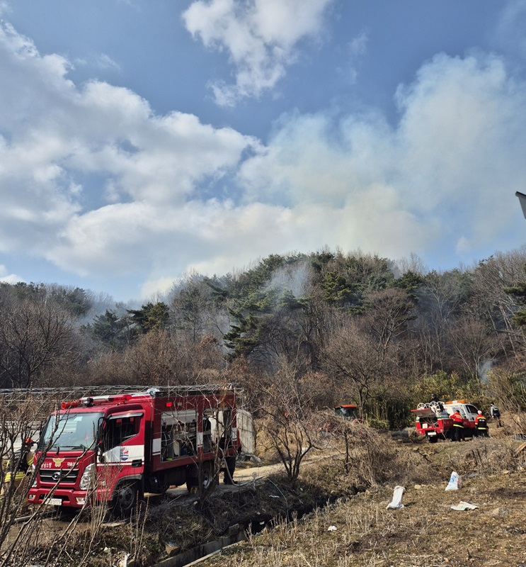 ▲ 예산군 대술면 방산리 산불 현장.ⓒ산림청
