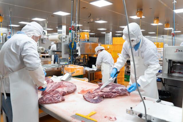 ▲ 당일 도축된 돈육이 작업장에서 각 부위별로 손질되고 있다. ⓒ메인비즈협회