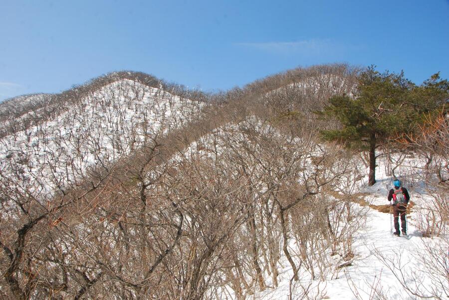 ▲ 선유봉에서 황악산 정상으로 가는 길.ⓒ진경수 山 애호가