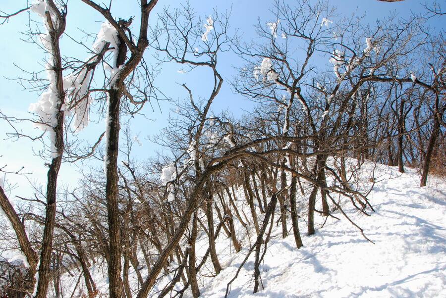 ▲ 상고대의 잔흔.ⓒ진경수 山 애호가