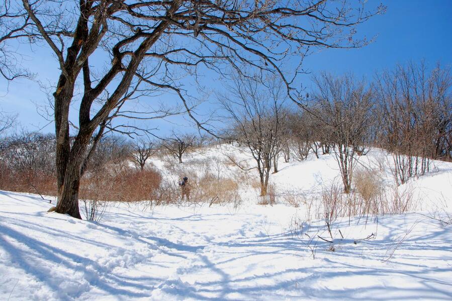 ▲ 정상을 앞두고 펼쳐진 설원.ⓒ진경수 山 애호가