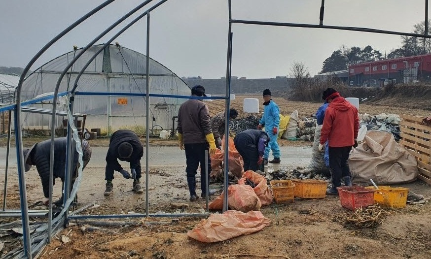 ▲ 지난해 도시농부 근로자들이 연말 폭설피해 때 농가 피해 복구를 하고 있다.ⓒ음성군