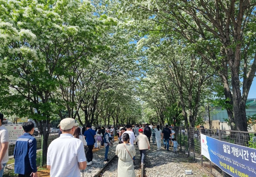 ▲ 전주시 팔복동 이팝나무 철길 전경 ⓒ전주시