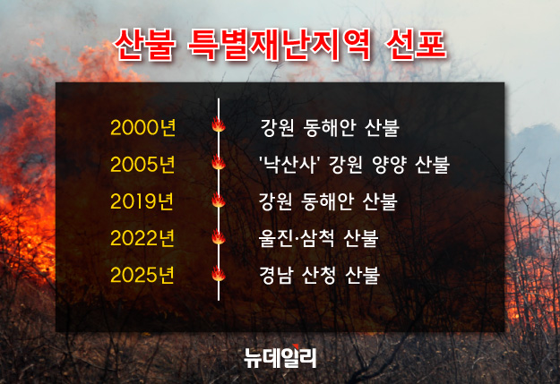▲ 산불로 인한 특별재난지역 선포 현황 ⓒ황유정 디자이너