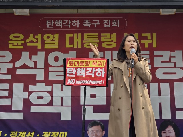 ▲ 25일 오전 서울 종로구 현대건설 앞에서 탄핵반대범국민연합이 개최한 '대통령 탄핵 각하 촉구' 집회에서 주요셉 대표가 발언하고 있다. ⓒ서성진 기자