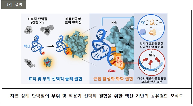▲ 연구 관련 그림.ⓒ포스텍