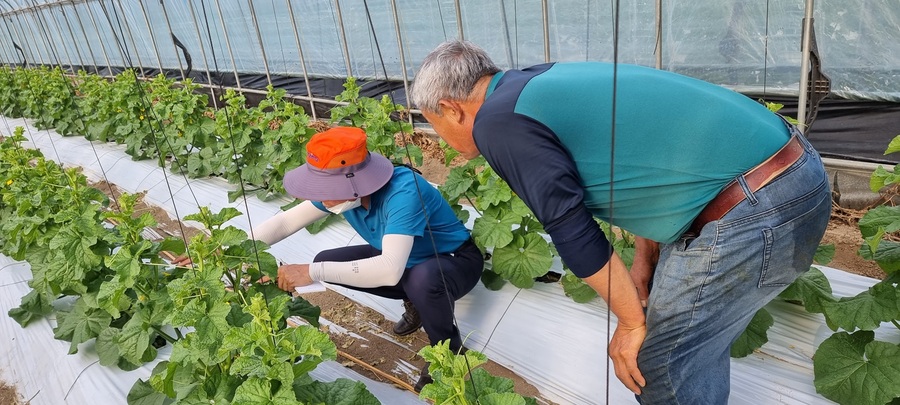 ▲ 진천군 농업기술센터(소장 남기순)는 본격적인 영농철을 맞아 현장 애로 해결을 위한 ‘기술보급 확산지원단’을 운영한다.ⓒ진천군