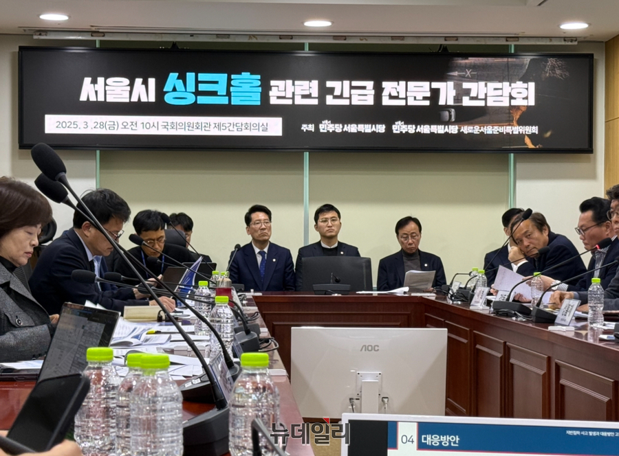 ▲ 더불어민주당 서울시당과 새로운서울준비특별위원회가 주최한 '서울시 싱크홀 관련 긴급 전문가 간담회'가 28일 오전 서울 영등포구 국회의원회관에서 열렸다. ⓒ정혜영 기자