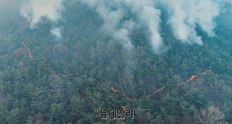 ▲ 경북 북부지역 산불이 재발화한 지난 29일 오전 경북 안동시 고하리 인근에서 산불이 재발화해 연기가 피어오르고 있다. ⓒ(경북 의성=서성진 기자)