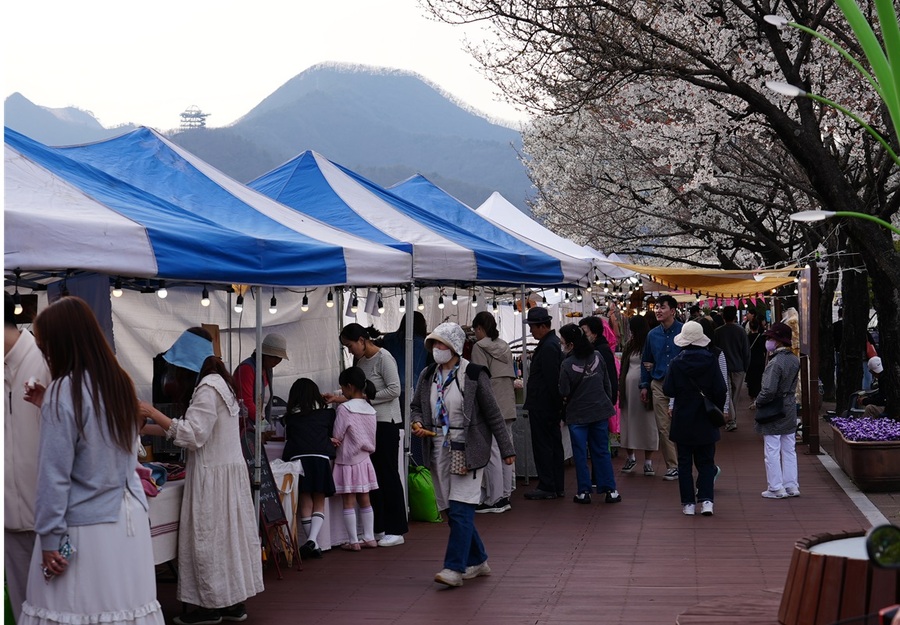 ▲ 지난해 단양군 벚꽃 야경투어 사진.ⓒ단양군