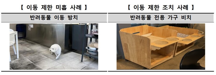 ▲ ⓒ한국소비자원