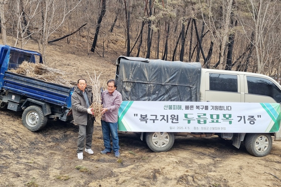 ▲ 청송군(군수 윤경희)은 사상 초유의 대규모 산불로 청송을 비롯한 경북의 임야 손실 피해가 큰 가운데, 임업인들이 산림 복구와 생업 재개를 위해 발 벗고 나서고 있다고 밝혔다.ⓒ청송군