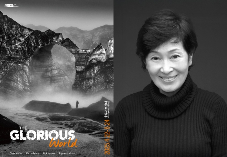 ▲ 전시 '더 글로리어스 월드' 메인 포스터와 배우 김혜자 프로필.ⓒ중구문화재단