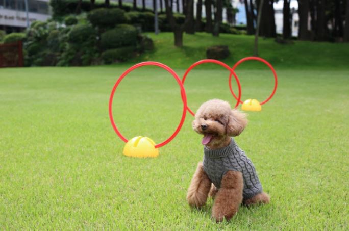 ▲ ⓒ메종글래드