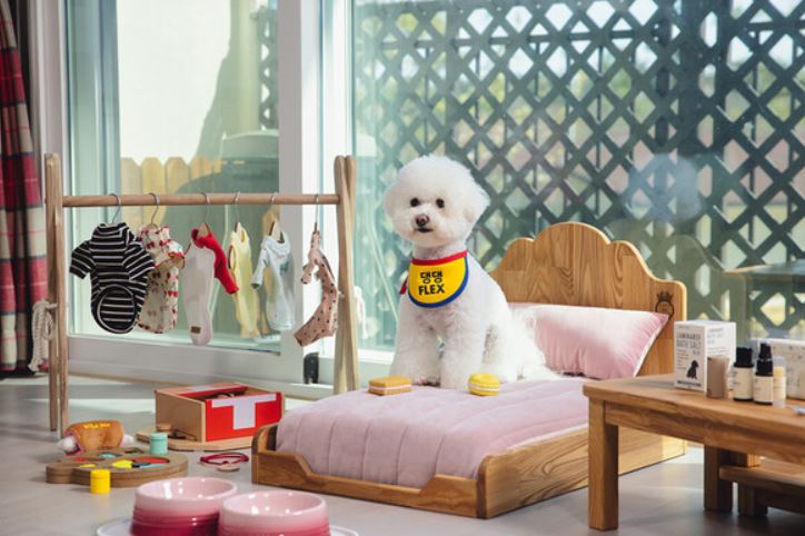 ▲ ⓒ이랜드파크