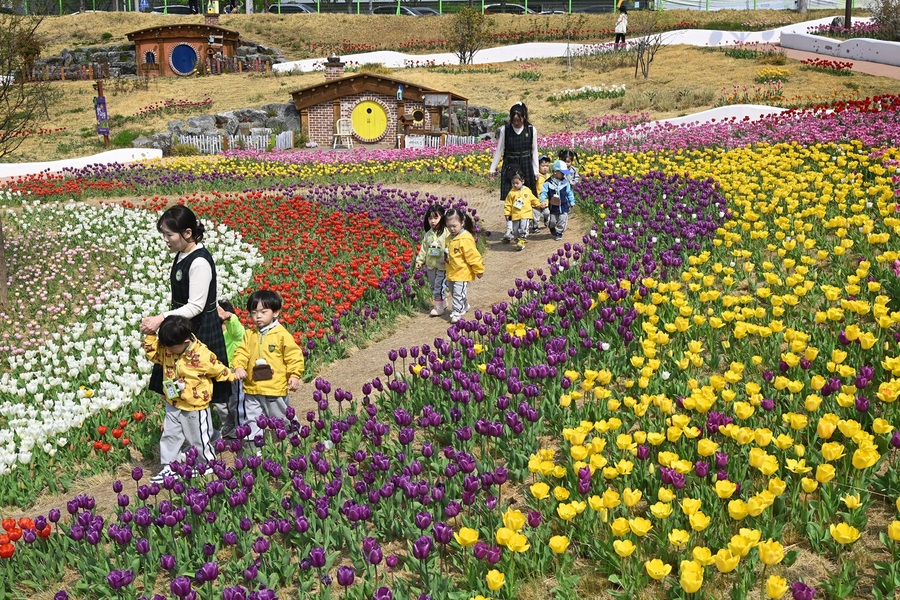 ▲ 달성군(군수 최재훈)은 다사읍에 위치한 ‘다사광장’과 ‘세천늪테마정원’을 다채로운 봄꽃으로 새롭게 단장했다.ⓒ달성군