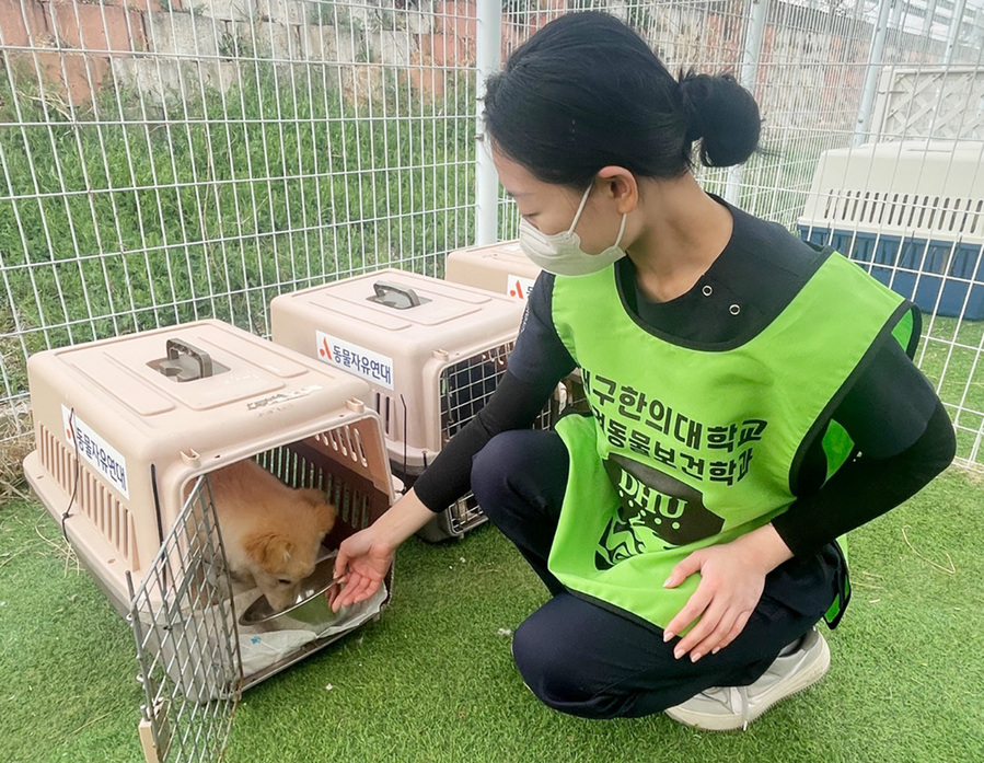 ▲ 대구한의대학교(총장 변창훈) 반려동물보건학과 학생들은 최근 경상북도 의성 산불 피해 현장에 투입되어, 구조된 반려동물의 보호 활동을 적극적으로 진행했다.ⓒ대구한의대