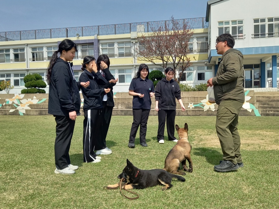 ▲ 대정여자고등학교 학생들이 ‘학생맞춤형 진로진학 프로그램’에 참여하고 있다. ⓒ제주특별자치도교육청 제공