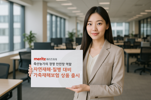 ▲ ⓒ메리츠화재