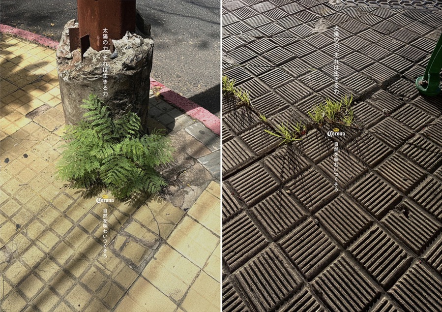 ▲ 코로나의 'Impossible Plants' OOH 캠페인. ©Corona