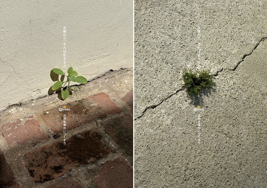 ▲ 코로나의 'Impossible Plants' OOH 캠페인. ©Corona