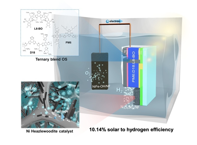▲ 통합된 광전극과 NiFe-OH 양극으로 구성된 전체 장치의 개략도.ⓒ성균관대