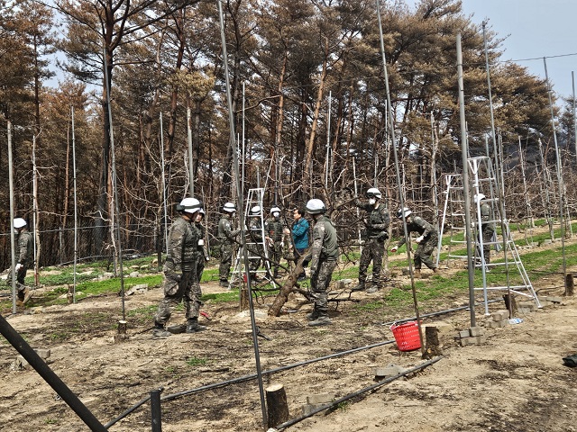 ▲ 50사단 영덕대대 장병들이 산불 피해 농가를 찾아 일손을 돕고 있다.ⓒ영덕군