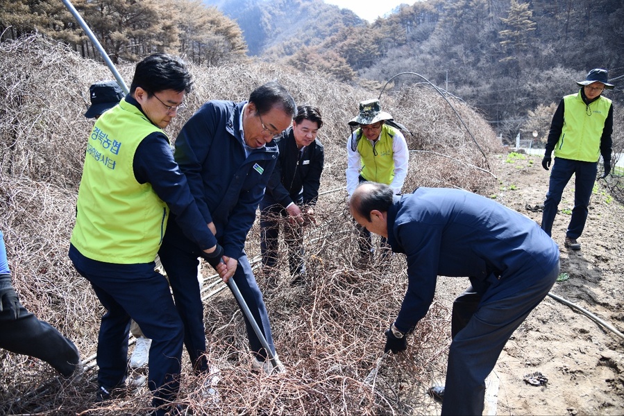 ▲ 경북농협(본부장 최진수)은 지난 17일 영양군 석보면에서 한 해 농사의 시작을 알리는 ‘2025년 영농지원발대식’을 열고 본격적인 영농 지원 활동에 나섰다.ⓒ경북농협