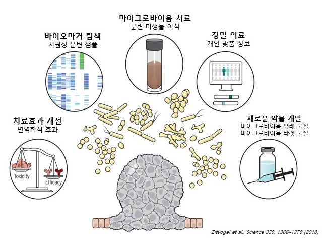 ▲ 충북테크노파크 입주기업인 ㈜비티시너지(대표 조희경)가 국내외 유수 연구기관과 협력해 마이크로바이옴 기반의 세계 최초 생균 치료제 개발에 본격 착수했다.ⓒ충북테크노파크