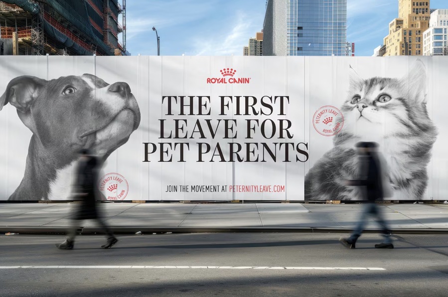 ▲ 로얄캐닌의 'Peternity Leave' 캠페인. ©로얄캐닌
