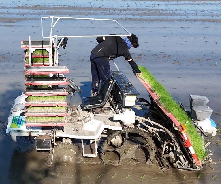 ▲ 청주시는 AI 기술을 접목한 자율주행 농기계 기술을 청주시 농가에 보급했다.ⓒ청주시