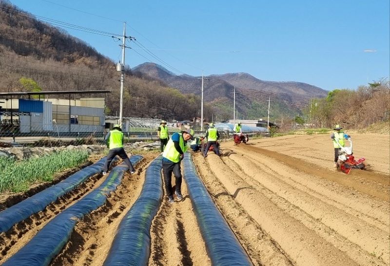 ▲ 아산시 농업기계교육팀이 산불피해를 입은 경북 의성군의 한 농가를 돕기 농작업 대행을 지원하고 있다.ⓒ아산시