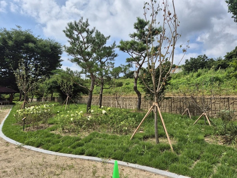 ▲ 생활권도시숲(학교숲) 사진.ⓒ충북도