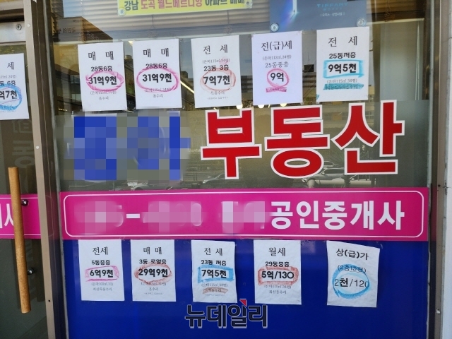 ▲ 은마아파트 상가 내 위치한 공인중개업소