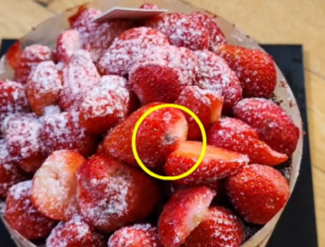 ▲ 대전의 대표 빵집 성심당의 인기 케이크인 딸기 시루에서 곰팡이가 발견됐다. ⓒ채널A 캡처