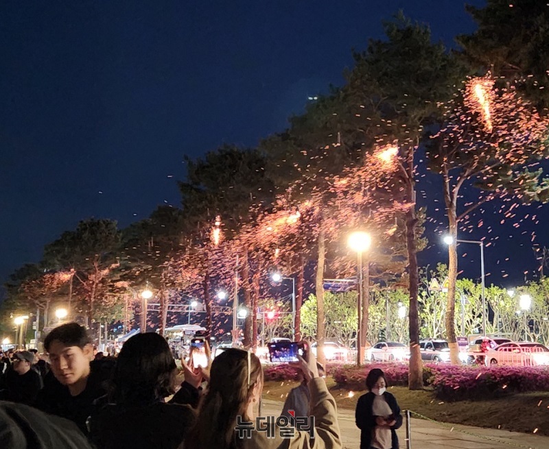 ▲ 지난 26일 세종중앙·호수공원 일원에서 열린 2025 세종낙화축제에서 낙화봉에서 은은하게 피어오른 불꽃이 밤하늘을 아름답게 수놓고 있다.ⓒ이길표 기자