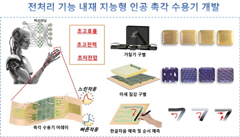 ▲ 인간의 느린적응와 빠른적응 촉각 수용체가 동시에 모방된 초고효율, 초고전력, 초저전압 지능형 인공 촉각 수용기 개발.ⓒ성균관대